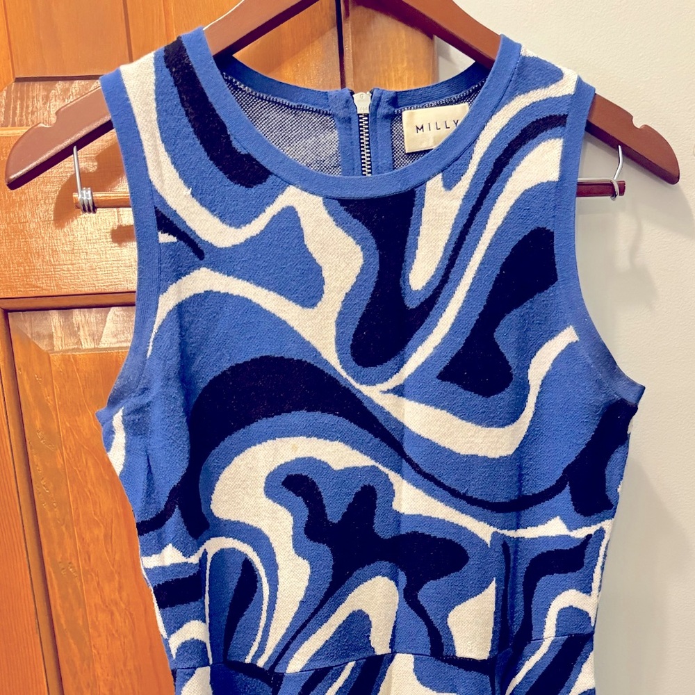 Molly Fit n Flare dress